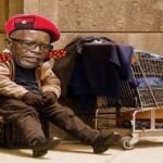 Fortado general mizer