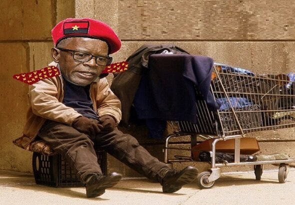 Fortado general mizer